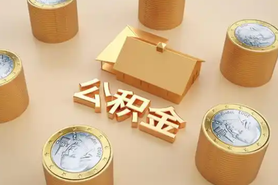 景德镇退休公积金代办提取额度是多少？